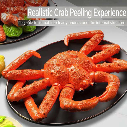 Playful Sea Chef Kitchen Set